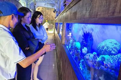 Kỳ thú Thủy cung Trí Nguyên trên vịnh Nha Trang