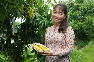Du lịch nông nghiệp mở hướng tăng giá trị cho ngành hàng xoài