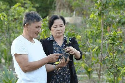 Những chính sách nhân văn chăm lo đời sống người cao tuổi