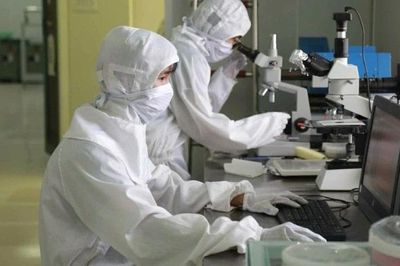 27 chương trình đào tạo của Trường đại học Khoa học Tự nhiên xét học bổng Chính phủ năm 2026