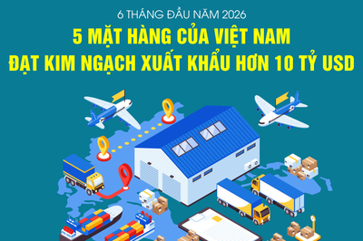 5 mặt hàng của Việt Nam đạt kim ngạch xuất khẩu hơn 10 tỷ USD trong 6 tháng đầu năm 2026