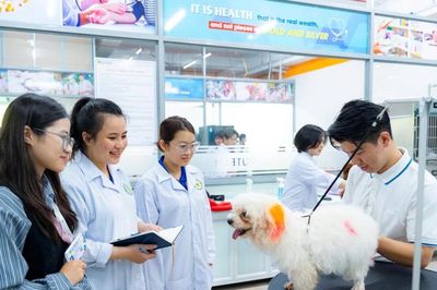 HUTECH tiên phong đào tạo Pet Grooming, đón đầu xu hướng nghề nghiệp