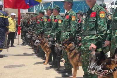 Quân khuyển Việt Nam và cuộc tìm kiếm đặc biệt ở Venezuela