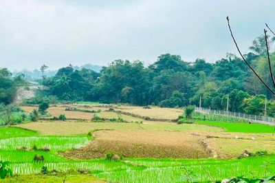 Đất nhận thừa kế có được giảm tiền sử dụng đất khi chuyển sang đất ở?