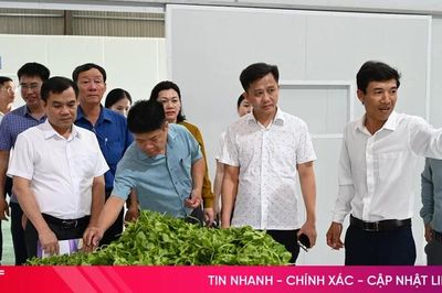 Khi nông sản địa phương được 'nâng hạng' bằng công nghệ