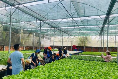 Nông nghiệp xanh mở lối hút khách về với vùng quê TP Hồ Chí Minh