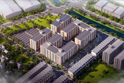 Bộ Xây dựng đề xuất giao chỉ tiêu phát triển nhà ở cho thuê trên toàn quốc