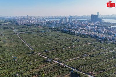 Sẽ lấy ý kiến người dân về quy hoạch sông Hồng sau khi có phương án tái định cư