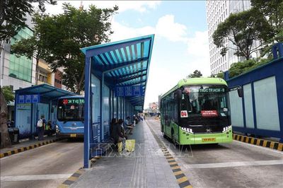 Chấn chỉnh bất cập khi triển khai miễn phí vé xe buýt tại TP Hồ Chí Minh