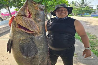 2 cha con bắt được con cá mú khổng lồ nặng 75 kg trên biển