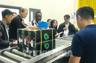 Nhà máy đầu tiên vận hành cả hai công nghệ chiếu xạ cho xuất khẩu trái cây sang Mỹ