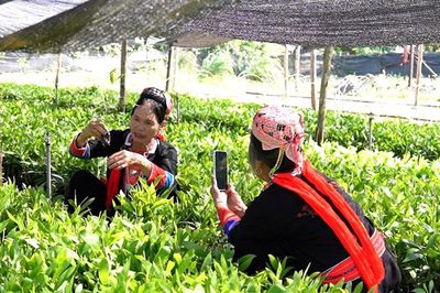 Bình đẳng giới nhìn từ kỹ năng an toàn số