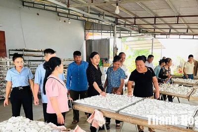 Hội LHPN xã Ngọc Liên giúp hội viên phát triển kinh tế