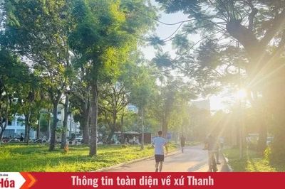 Khoảng xanh của phố