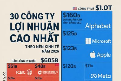 30 công ty có lợi nhuận cao nhất tại từng nền kinh tế