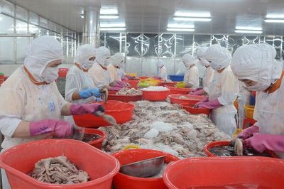 Đánh thức động lực từ đô thị biển