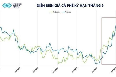 Giá cà phê lập đỉnh nhiều tháng do lo ngại El Nino