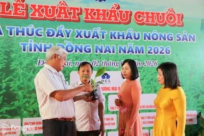 Giống chất lượng cao cho nông sản xuất khẩu