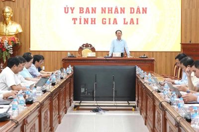 Ban Chỉ đạo triển khai Đề án phát triển kinh tế tư nhân tỉnh Gia Lai họp phiên thứ 2