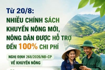 Từ 20/8: Nhiều chính sách hỗ trợ khuyến nông mới, nông dân được hỗ trợ đến 100% chi phí
