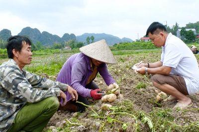 Làm giàu trên quê hương