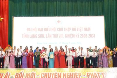 Đại hội đại biểu Hội Chữ thập đỏ tỉnh lần thứ VIII, nhiệm kỳ 2026 – 2031