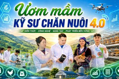 'Ươm mầm' kỹ sư chăn nuôi 4.0