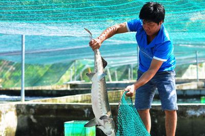 Cá tầm mở hướng phát triển nông nghiệp công nghệ cao ở Lâm Đồng