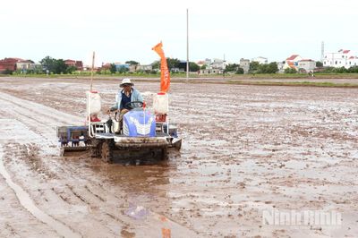 Trình diễn mô hình máy sạ cụm định vị kết hợp vùi phân bón