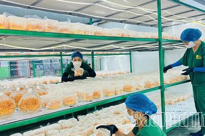 Gắn nông nghiệp tuần hoàn với du lịch trải nghiệm
