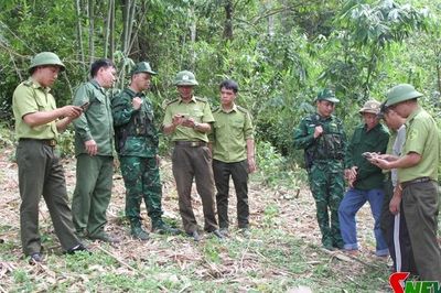 Bước chuyển tư duy làm kinh tế rừng ở Sơn La