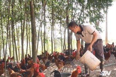 Tân Khánh nâng cao giá trị chăn nuôi từ liên kết chuỗi