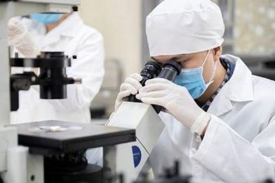 Chuyển từ quốc tịch nước ngoài sang quốc tịch Việt Nam, người lao động có phải cấp mã số thuế mới không?