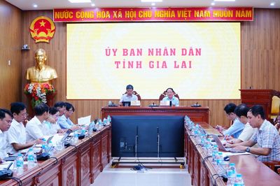 Gia Lai tăng tốc gỡ điểm nghẽn, tiếp sức doanh nghiệp tư nhân