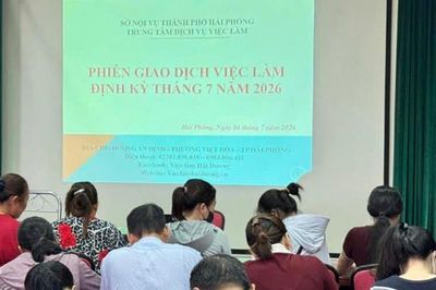 Hải Phòng: Có 1.600 vị trí việc làm cần tuyển dụng tại Phiên giao dịch việc làm