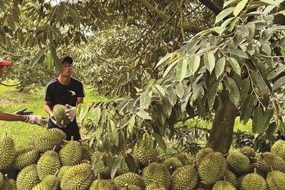 37 cơ sở kiểm nghiệm đạt chuẩn GACC, bảo đảm yêu cầu xuất khẩu nông sản