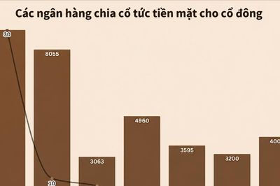 Hàng chục nghìn tỷ đồng cổ tức chảy về túi cổ đông ngân hàng