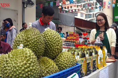 Sầu riêng Nghĩa Trung: Từ mã số vùng trồng đến niềm tin thị trường