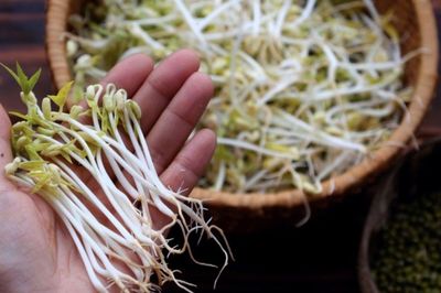 Người mắc 1 trong 5 bệnh này tuyệt đối không nên ăn giá đỗ