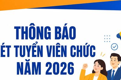 Những trường hợp được xét tuyển viên chức theo quy định mới