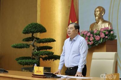 Xử nghiêm hành vi tiếp tay, bao che cho hàng giả