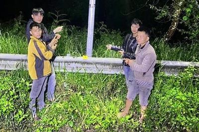 Khởi tố nhóm đối tượng chuyên cắt trộm dây điện chiếu sáng tại KDL Hồ Tuyền Lâm
