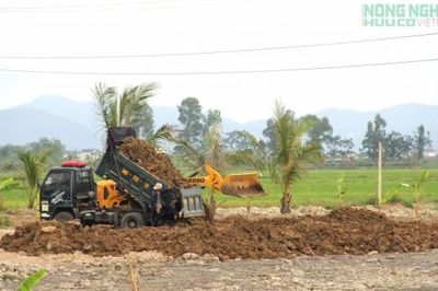 Cần xử lý triệt để việc san lấp đất nông nghiệp trái phép ở xã Quảng Châu, Nghệ An