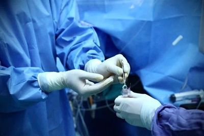 Chấn chỉnh việc tự ý điều phối mô, tạng tại một số bệnh viện