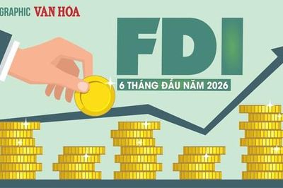 FDI vào Việt Nam 6 tháng đạt 34,65 tỉ USD, lập kỷ lục 5 năm
