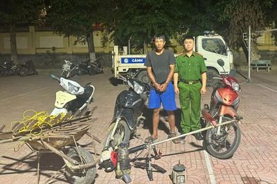 'Đạo chích' sa lưới
