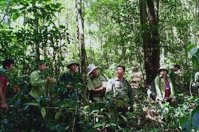 Khi giáo dục trở thành 'lá chắn' của rừng