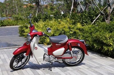 Cập nhật bảng giá xe Honda Super Cub C125 mới nhất tháng 7/2026