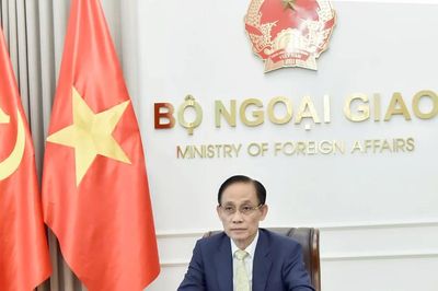 Bộ trưởng Ngoại giao Lê Hoài Trung điện đàm với Bộ trưởng Ngoại giao Mexico