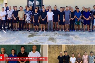 Công an Ninh Bình bắt giữ 1.189 đối tượng liên quan đến ma túy trong 6 tháng đầu năm